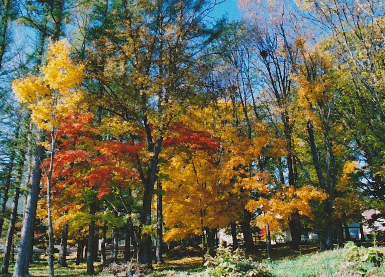 Cottage Morino Nakamatachi NakaNakafurano Esterno foto